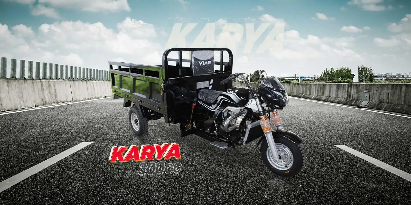 New-Karya-300